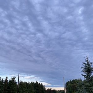 Meet your Posher, Sophia